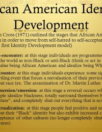 African+American+Identity+Development