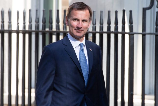 Hunting for Abortions to be Sooner: Jeremy Hunt’s 12-week Abortion Plan