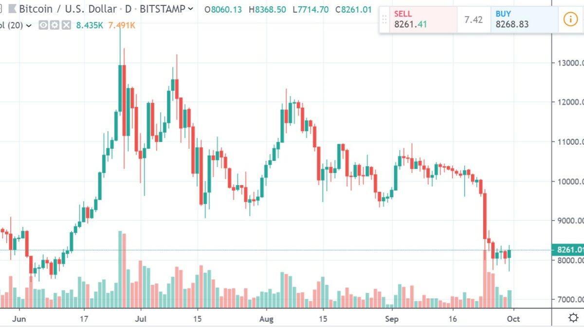 Is Bitcoin a Ponzi Scheme? | The Common Sense Network
