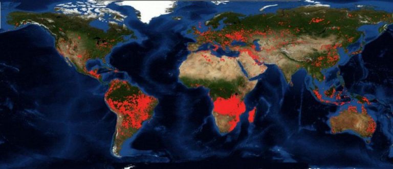 African Forests versus The Amazon: Which is burning the hottest?