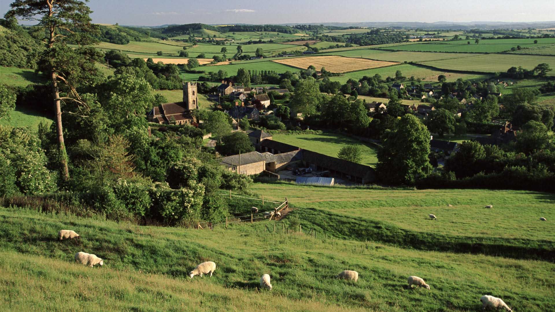 Our Countrysides Are In Danger