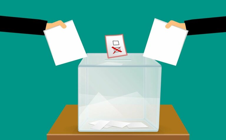 Why does voter turnout matter?